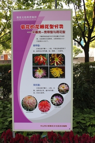 IMG_9528.JPG