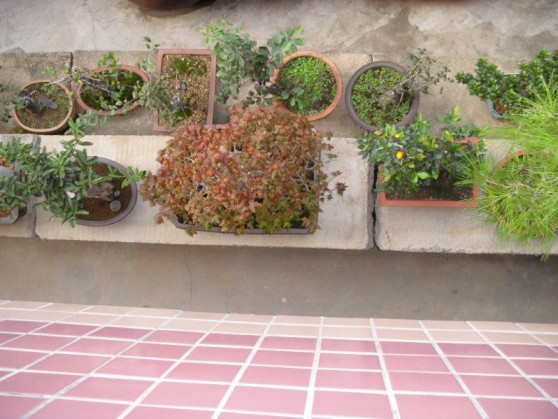 SDC13712.JPG