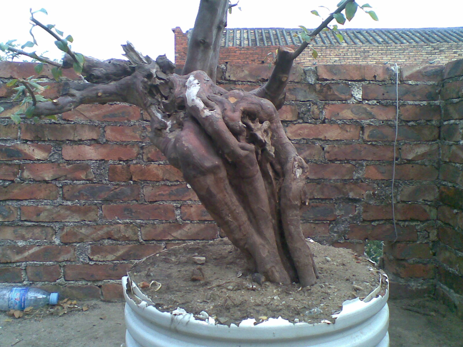 20131128.jpg