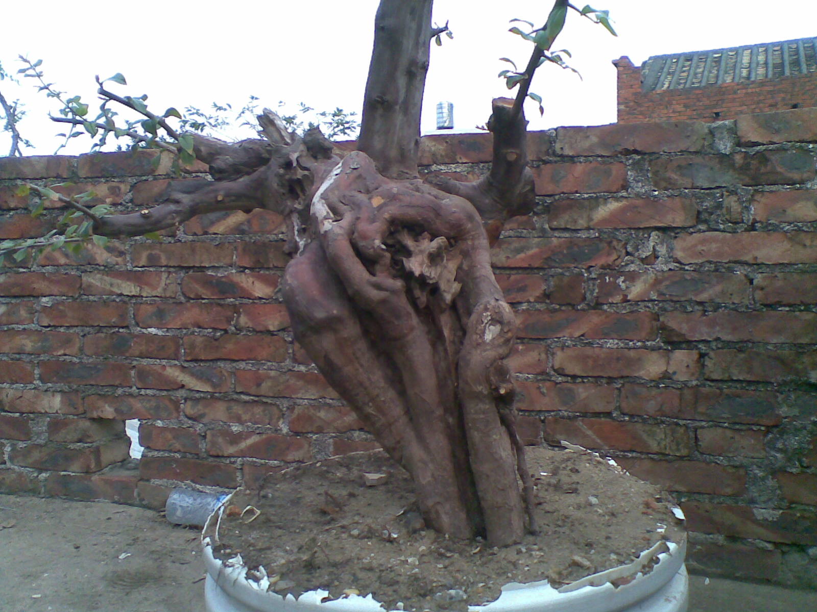 20131128(001).jpg