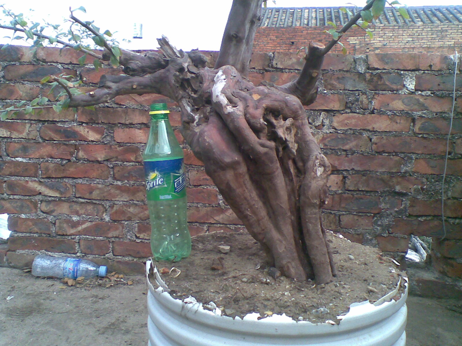 20131128(002).jpg