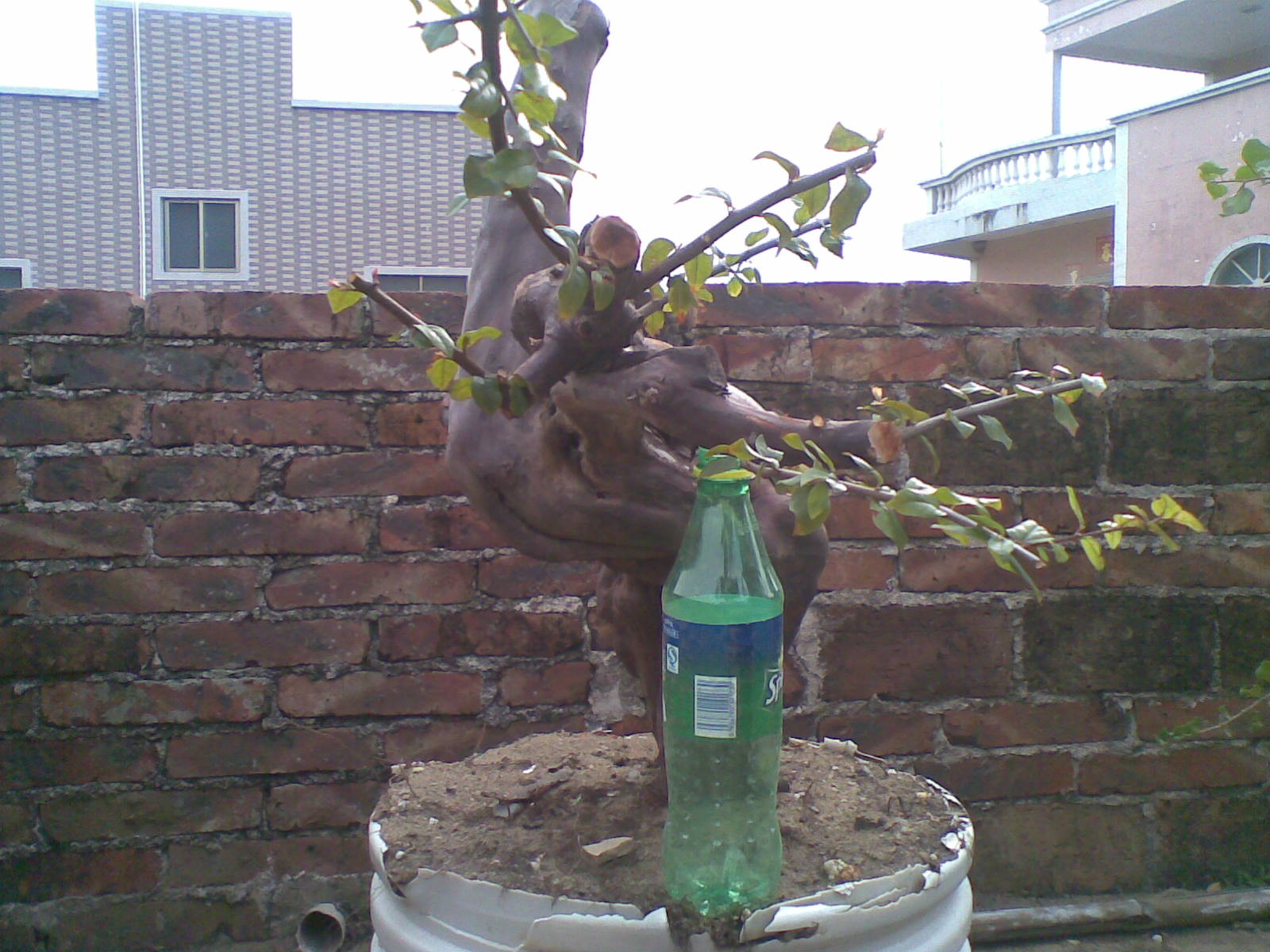 20131128(003).jpg