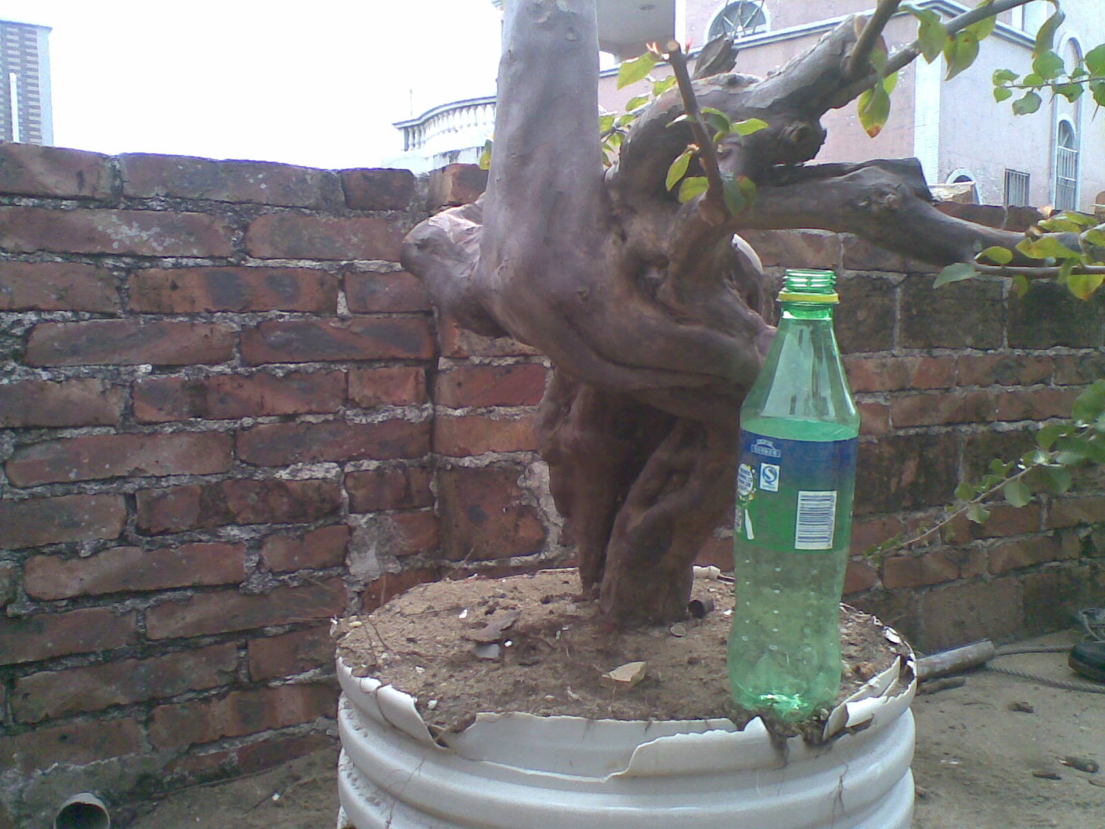 20131128(004).jpg