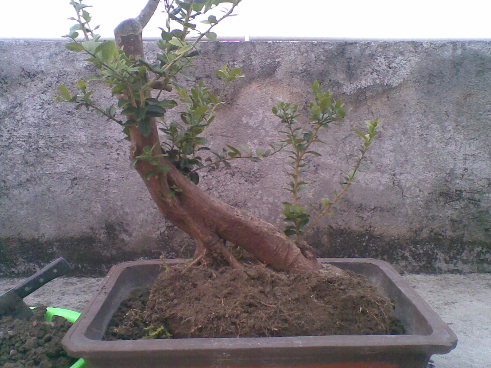 20131128(007).jpg