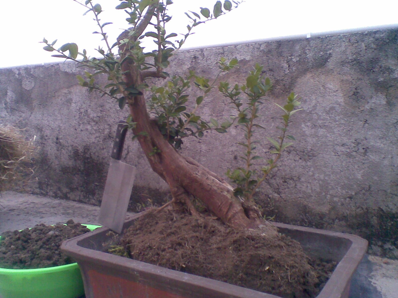 20131128(010).jpg