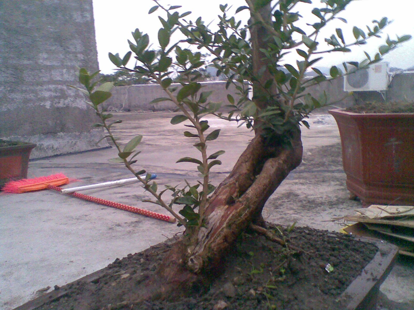 20131128(011).jpg
