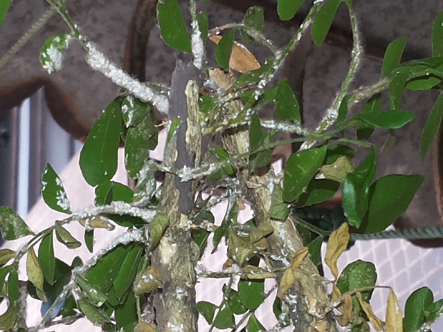 20131026_141838.jpg