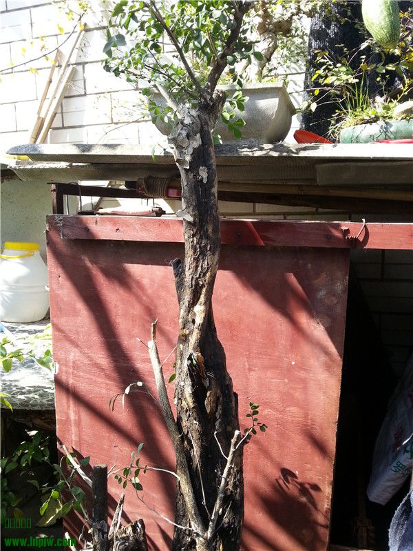 20131125_130319.jpg