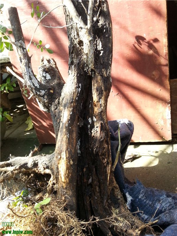 20131125_130332.jpg