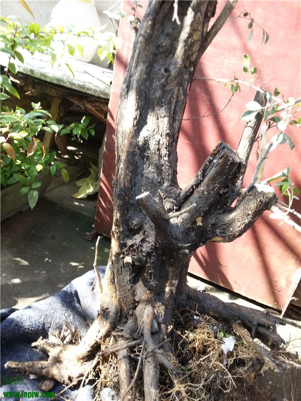 20131125_130416.jpg