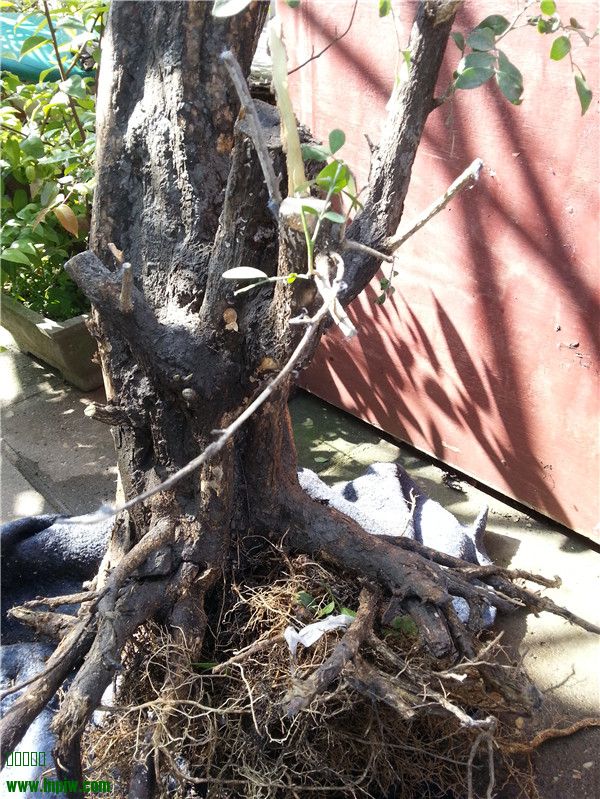 20131125_130422.jpg