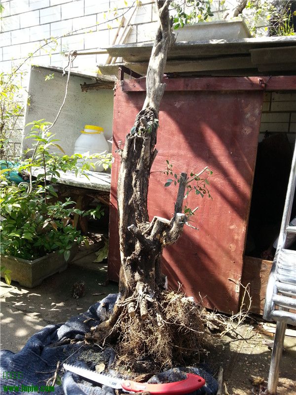 20131125_133111.jpg