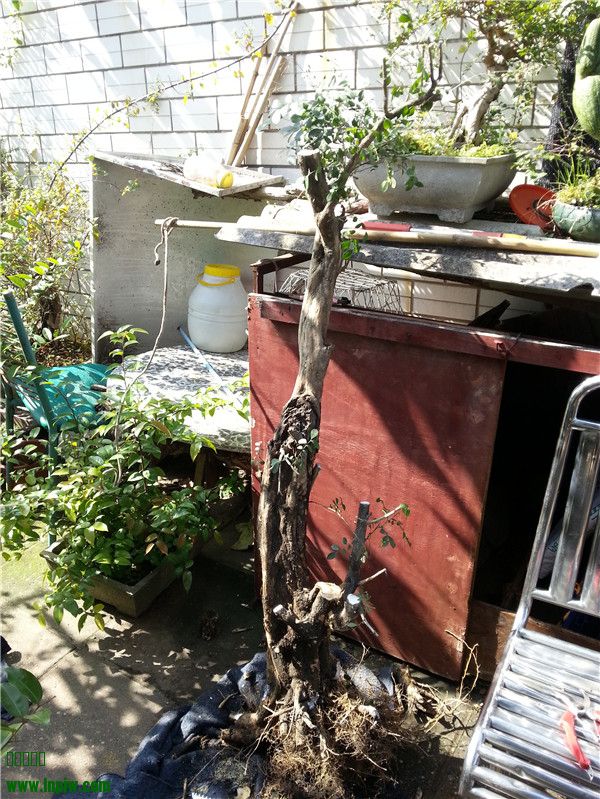 20131125_133146.jpg