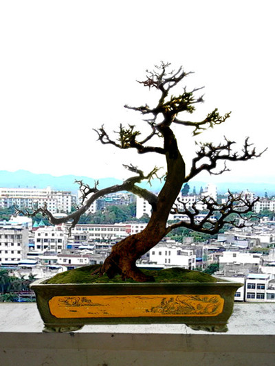 03.jpg