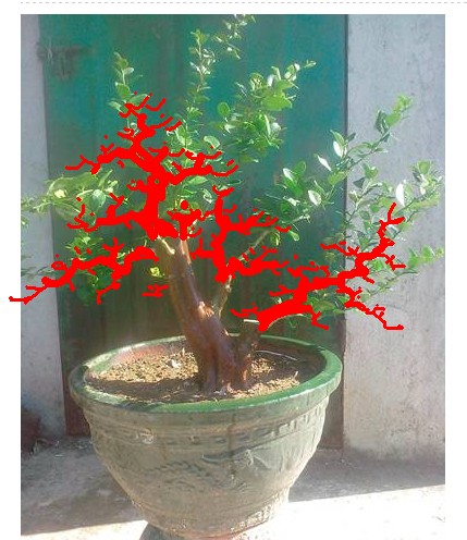 QQͼƬ20131201010020.jpg