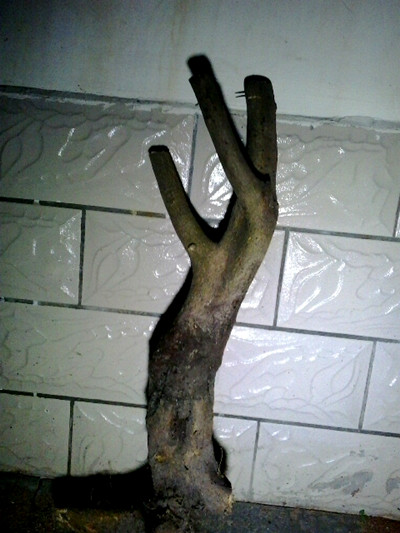 20131027_194336_.jpg