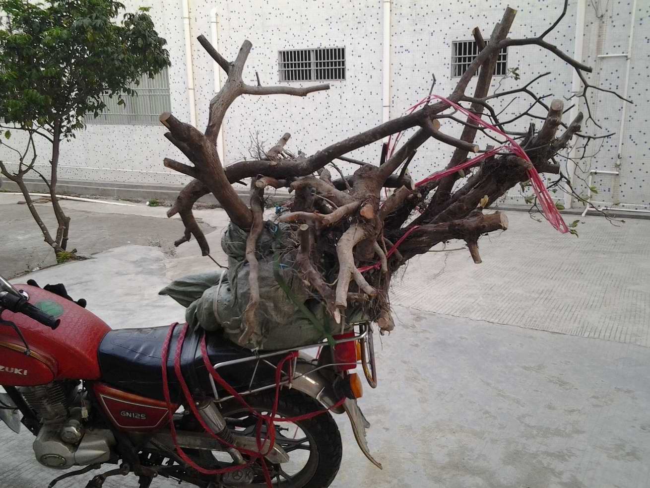 20131201_171430.jpg