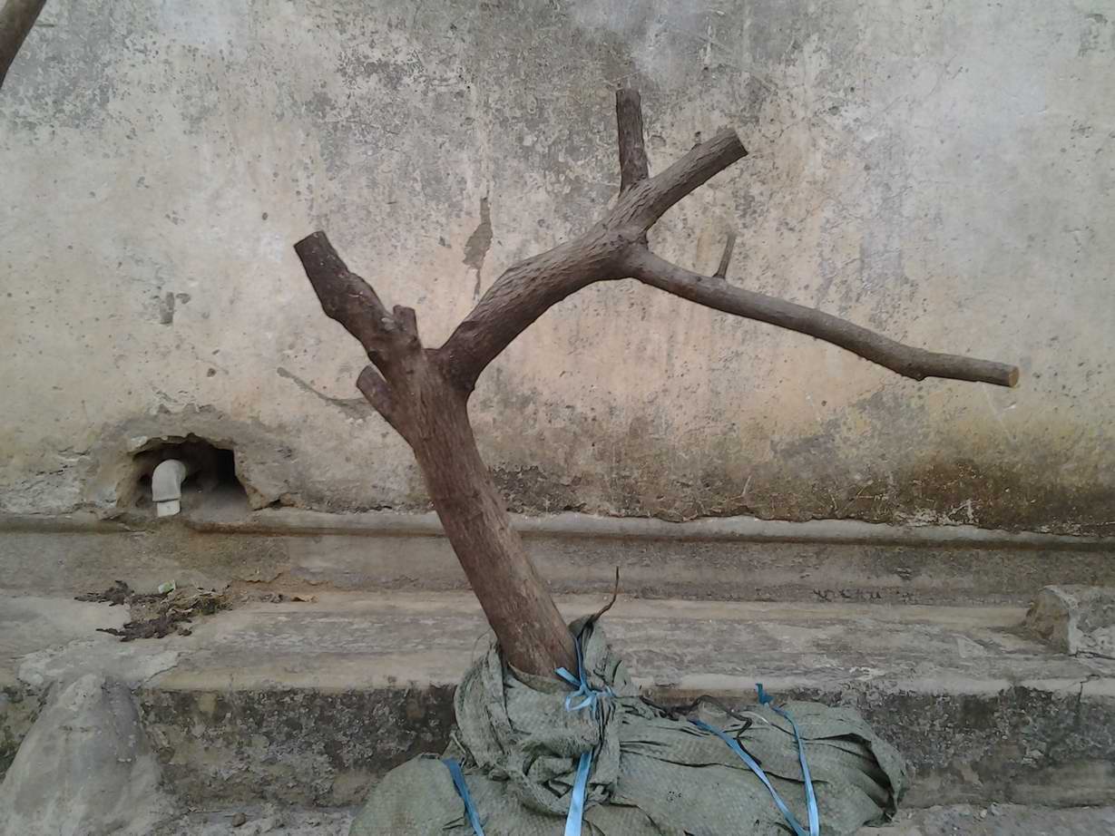 20131201_171927.jpg