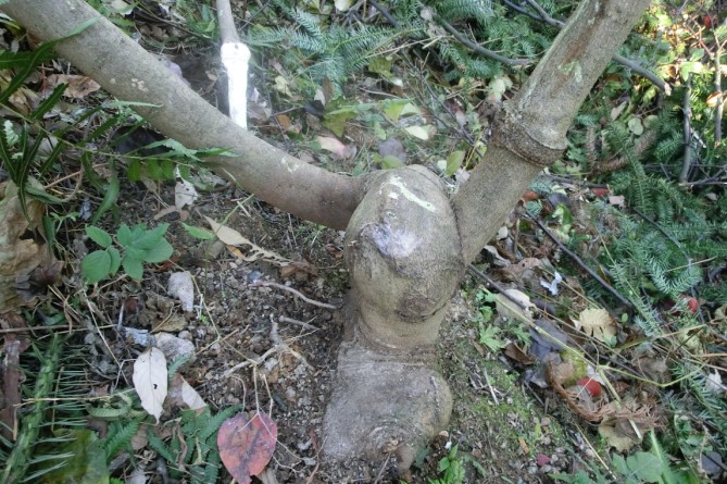 r1.jpg