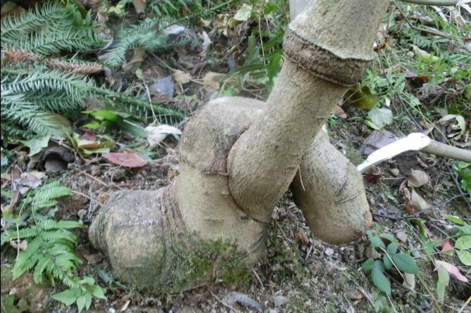 r2.jpg