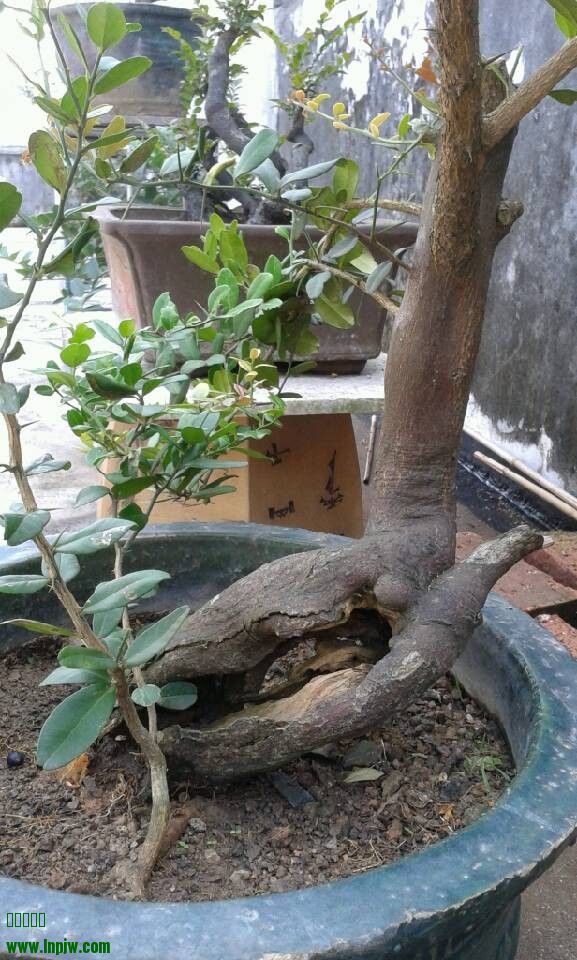 QQͼƬ20131201205738.jpg