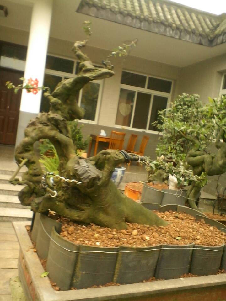 20131203114027.jpg