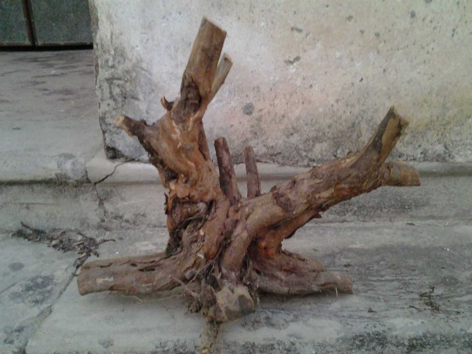 20131203_174039.jpg