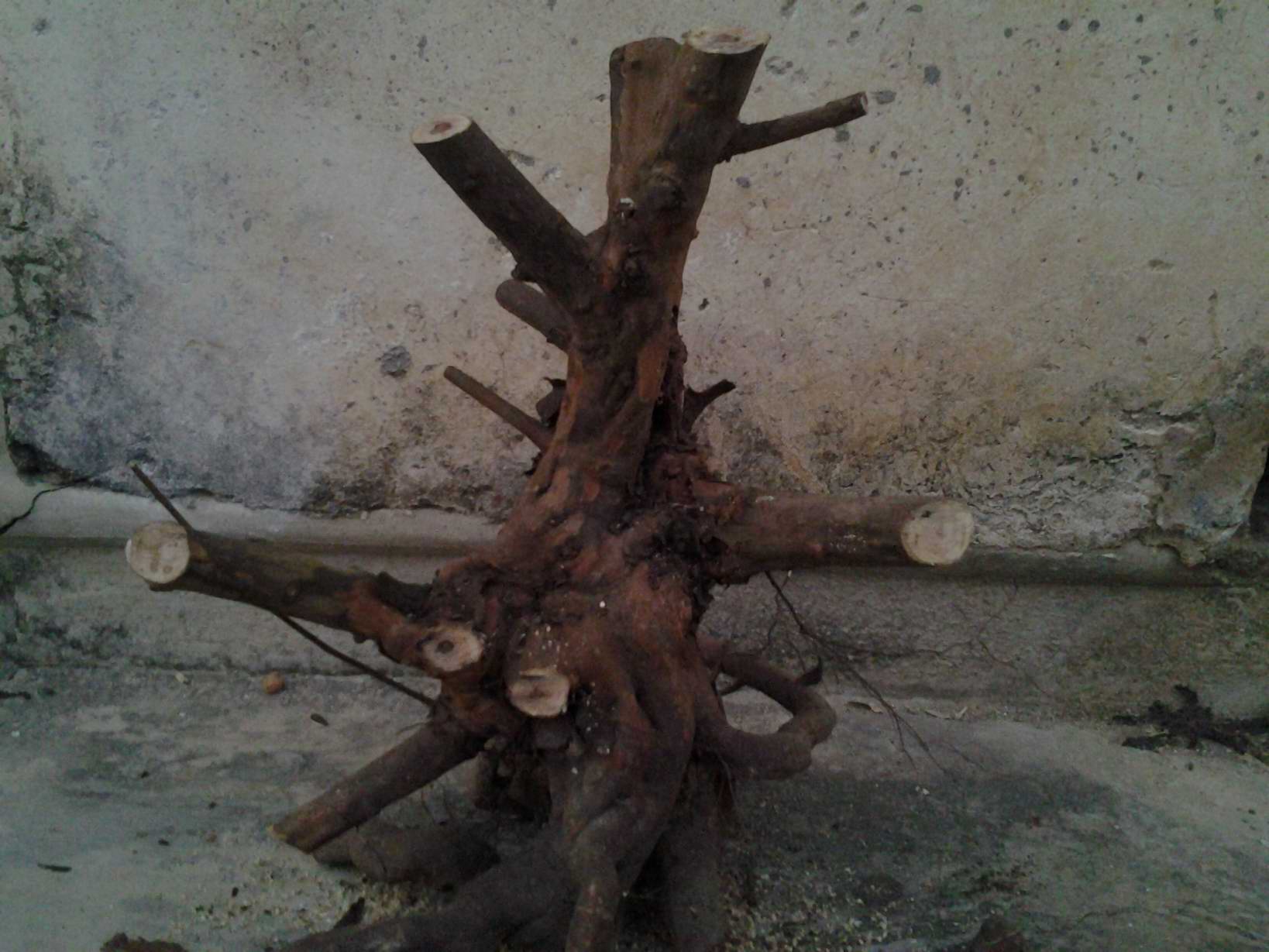 20131203_174433.jpg