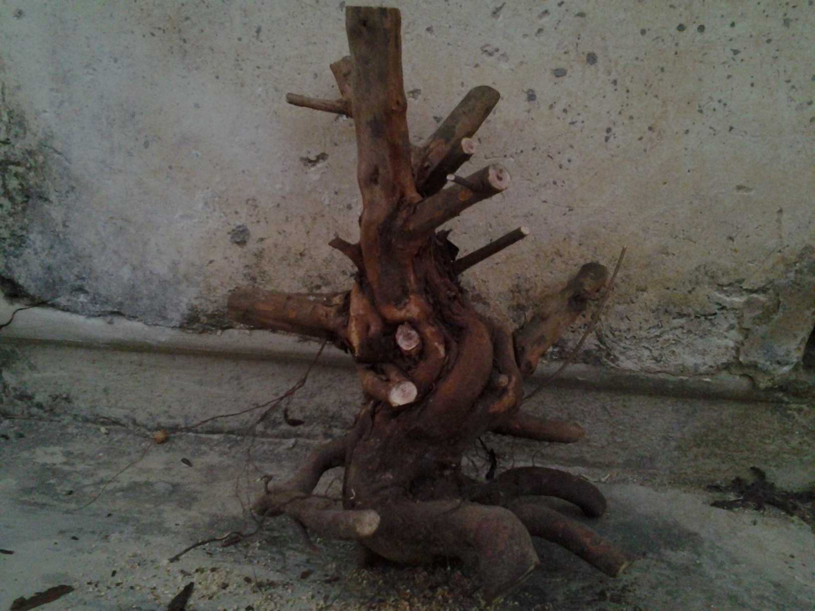 20131203_174452.jpg