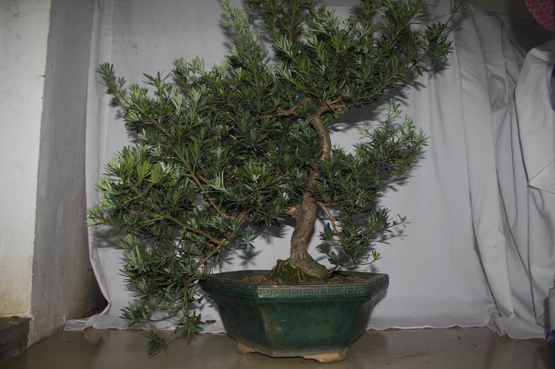 Ƭ20131026ۺ 422.jpg