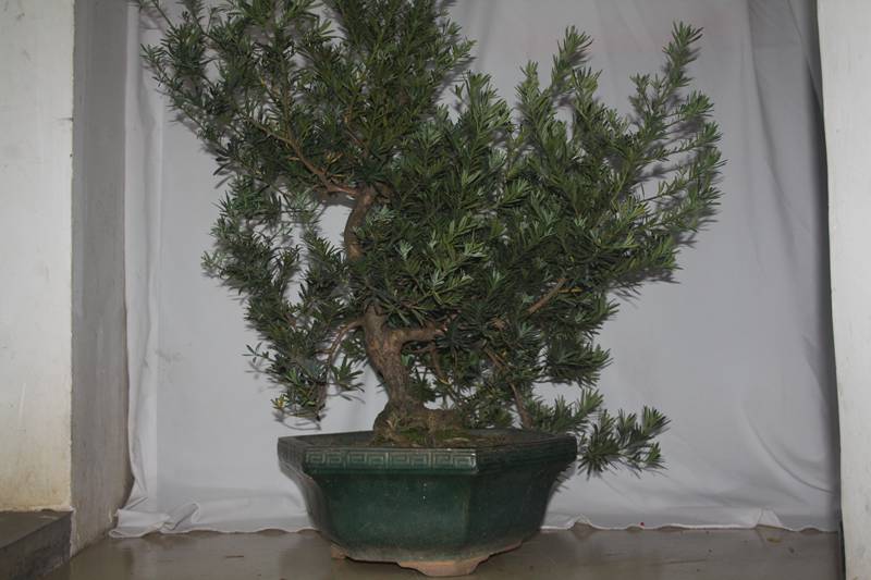Ƭ20131026ۺ 424.jpg