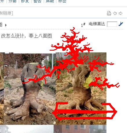 QQͼƬ20131205163733.jpg