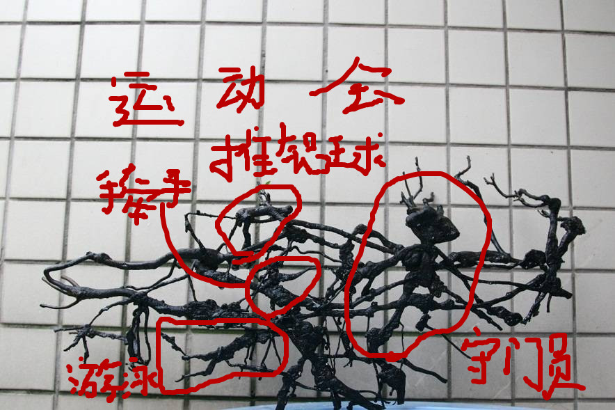180822fm7spm1g66sn3d1j.jpg.thumb_.jpg