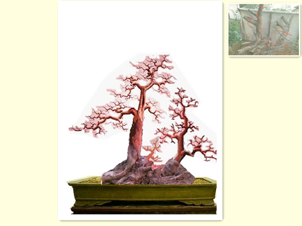 224412xiattl5liaeiheto.jpg.thumb__.jpg