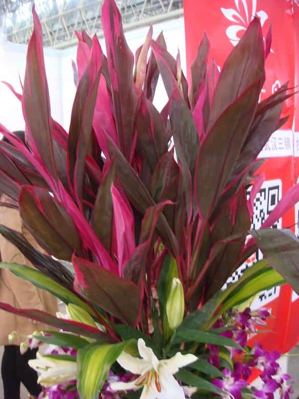 DSC06362.JPG