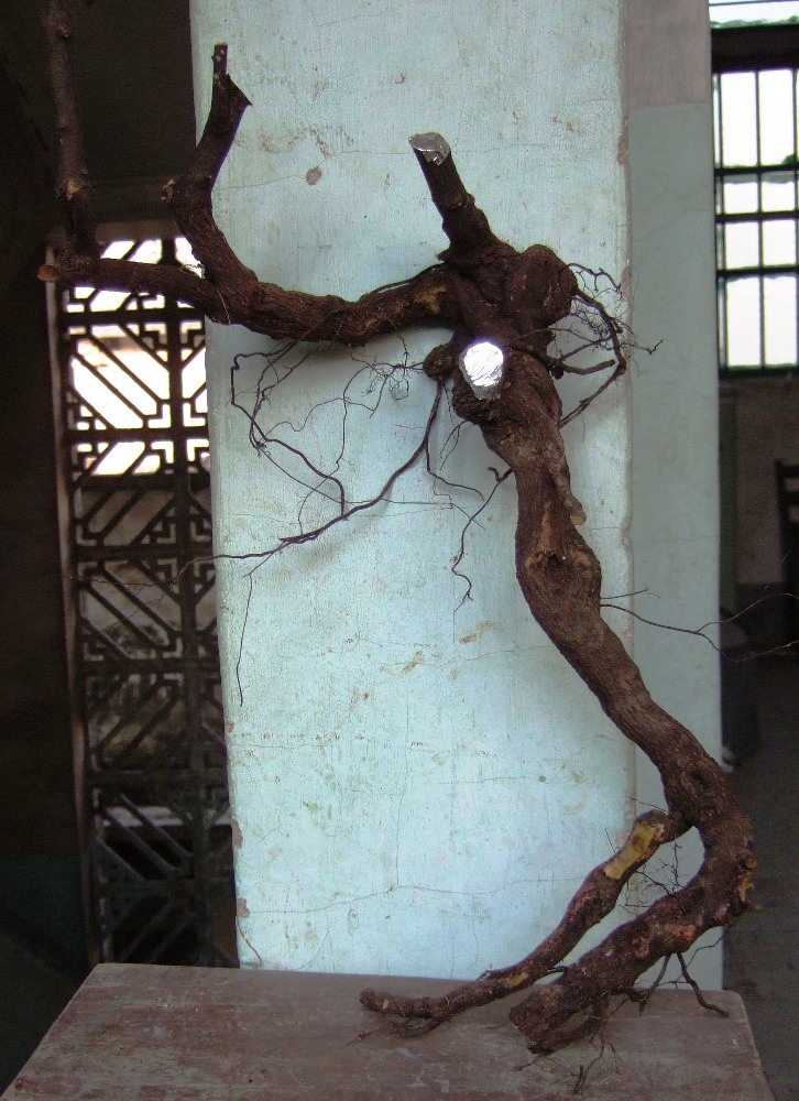 DSCF4534.JPG