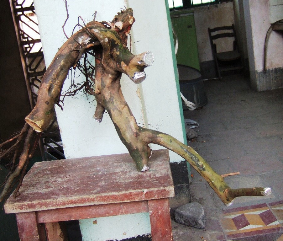 DSCF4528.JPG