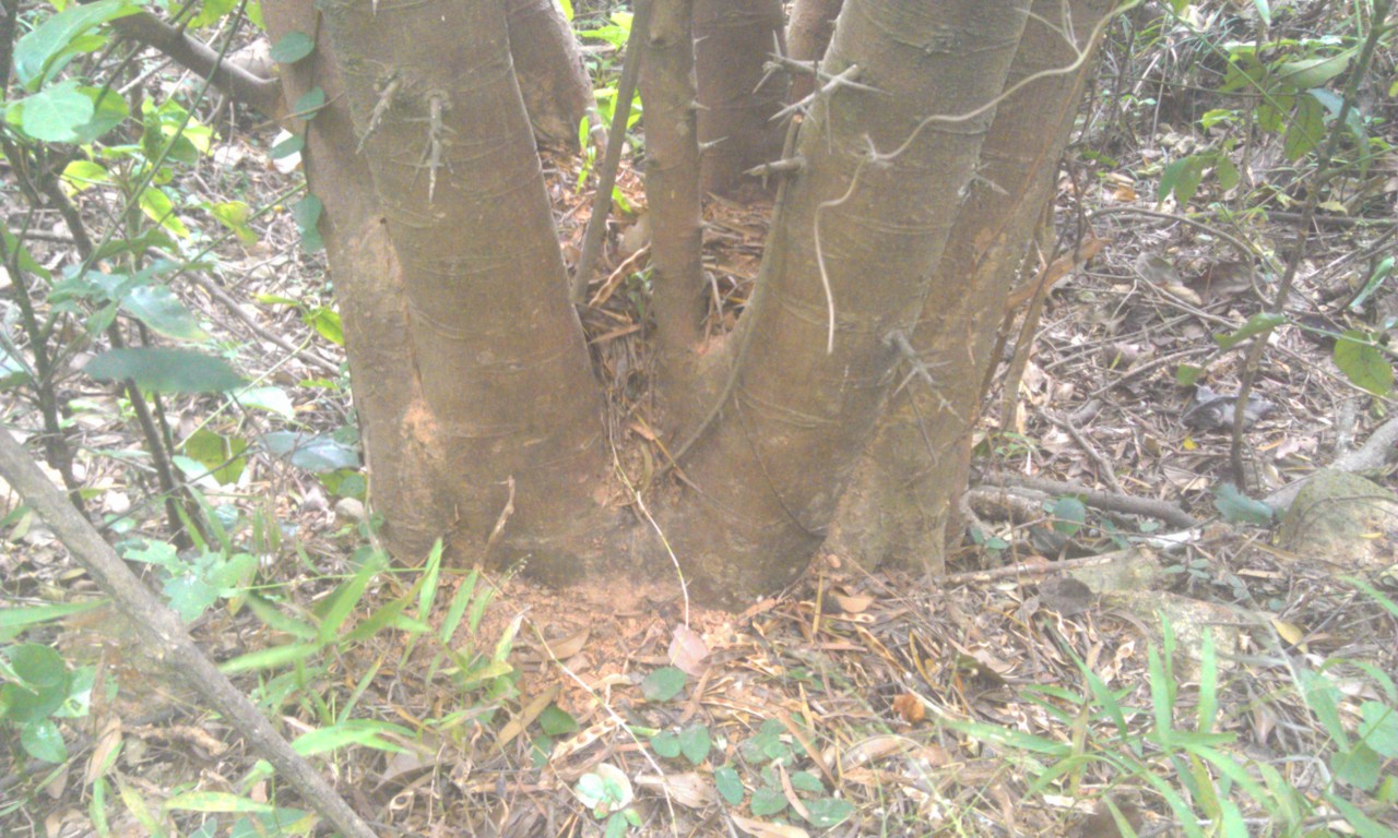 IMAG5656.jpg