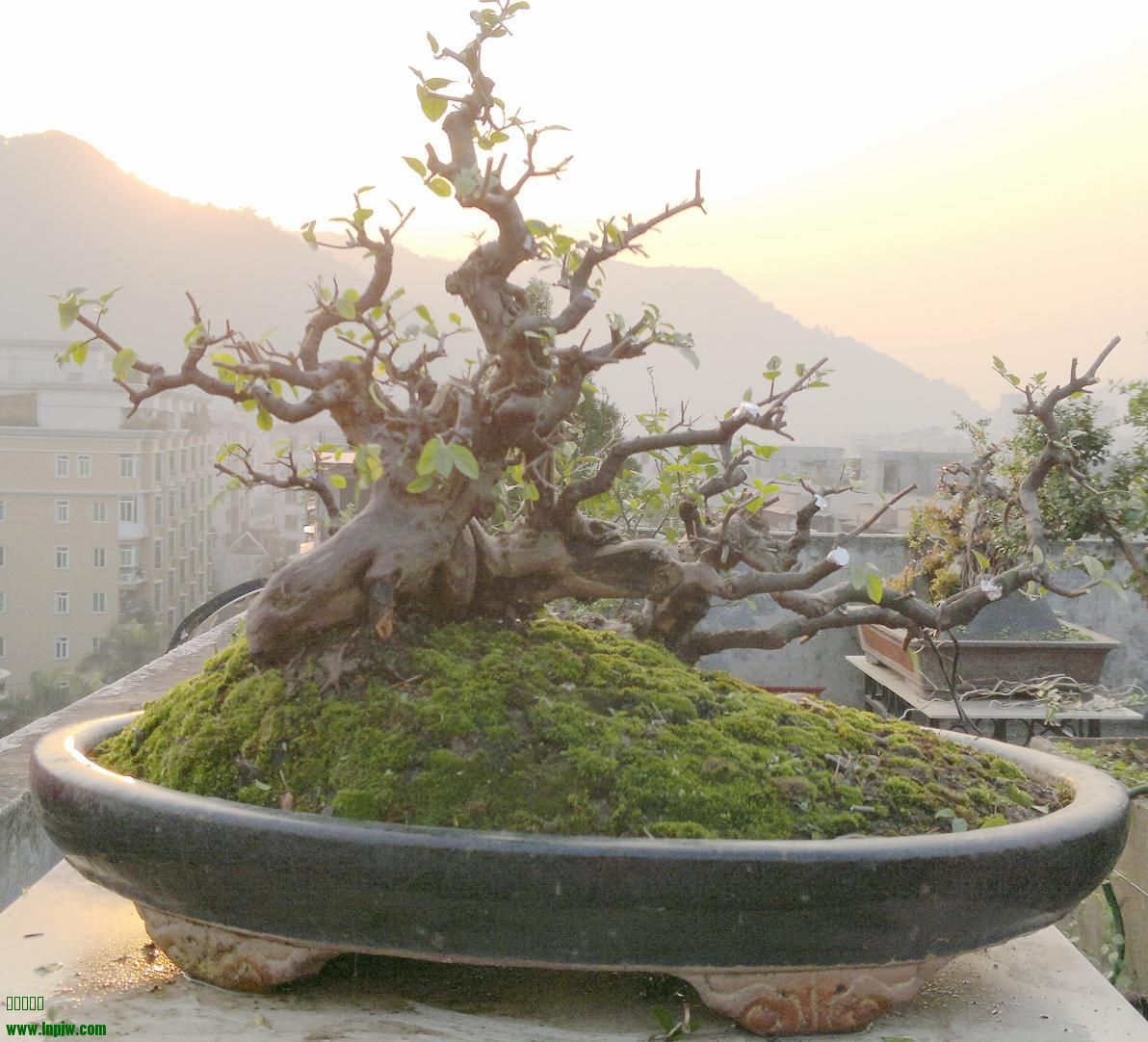 201312071714.jpg