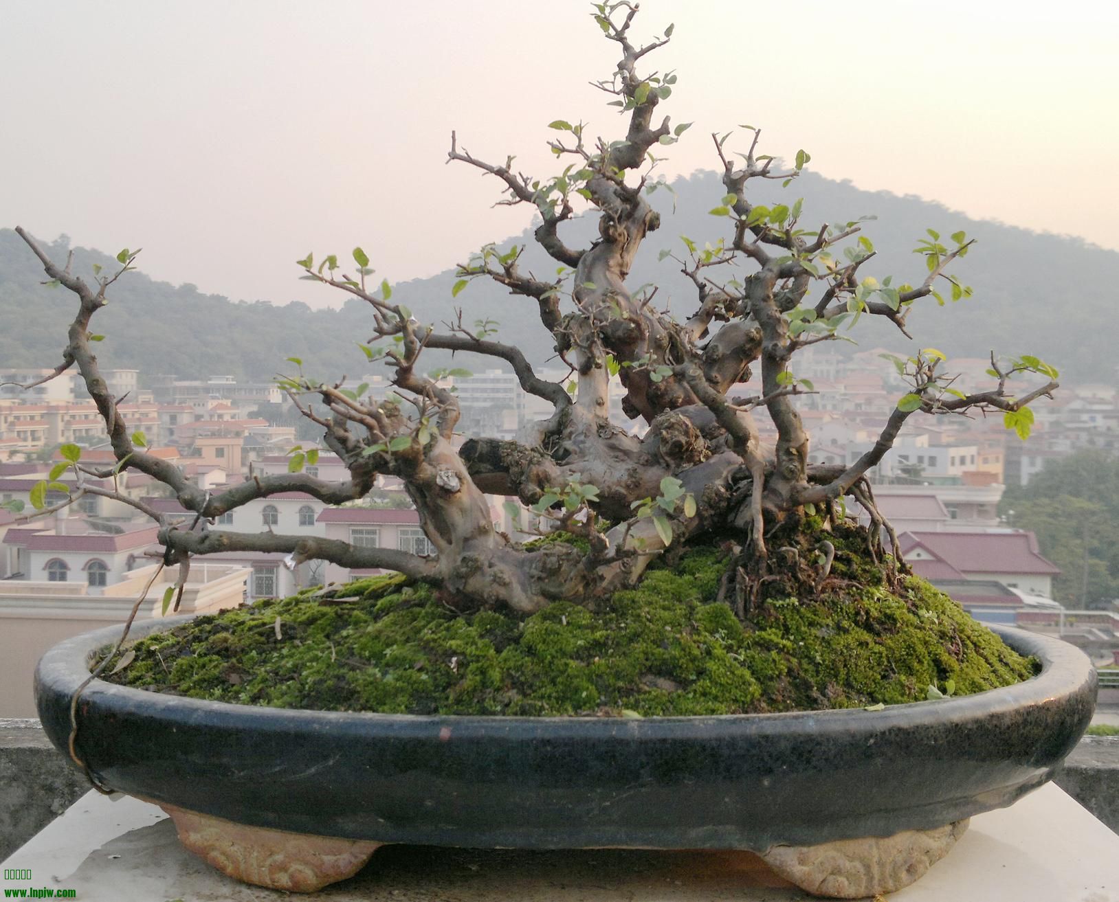 201312071715.jpg