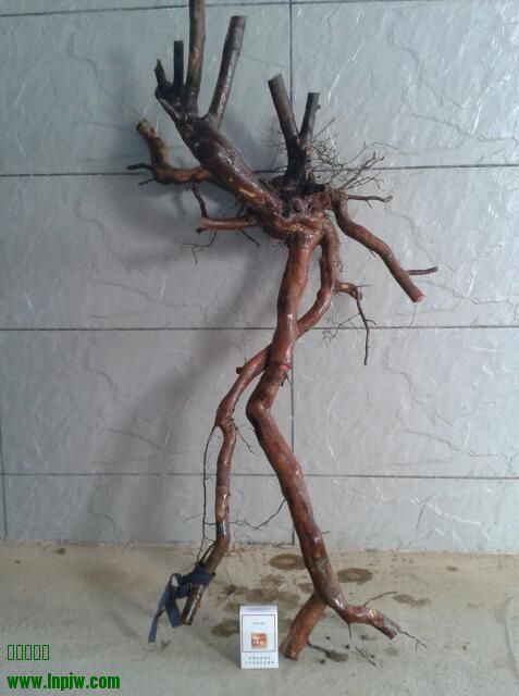 2013-12-09 14.58.50-1.jpg