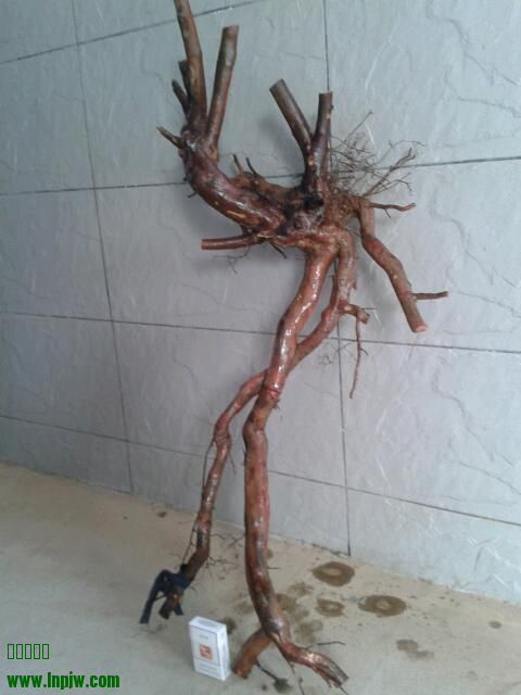 2013-12-09 14.59.19-1.jpg