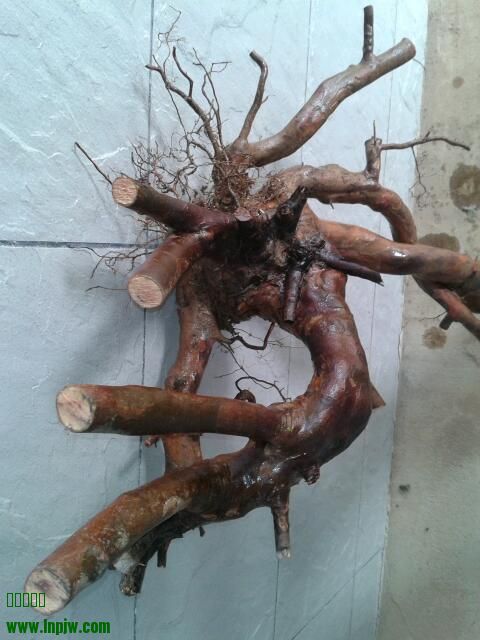 2013-12-09 14.59.40-1.jpg