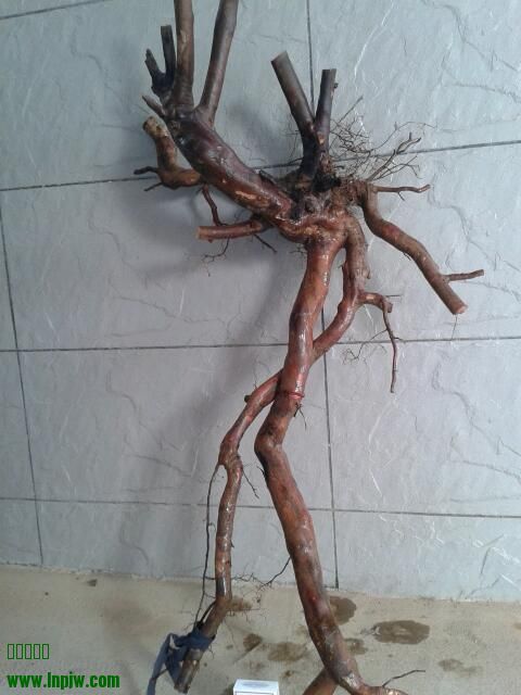 2013-12-09 15.00.46-1.jpg