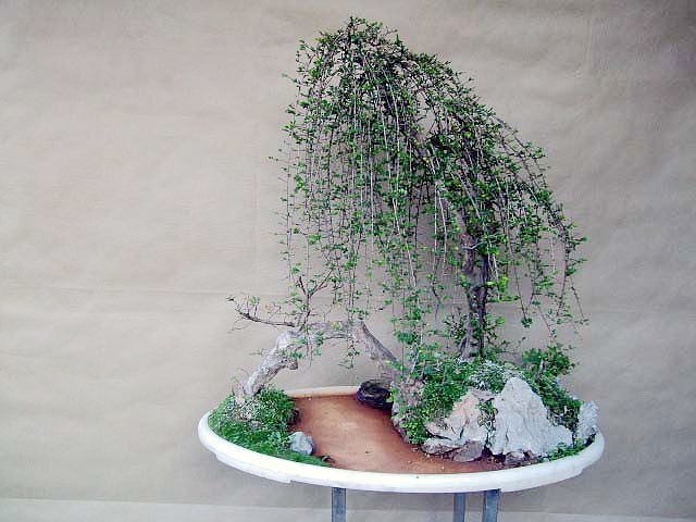 DSCF0280.JPG