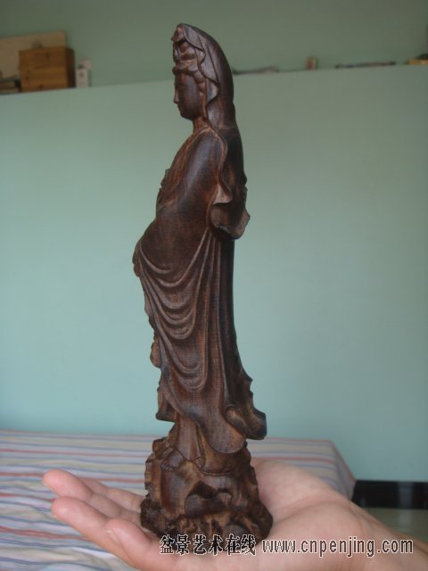 080619drrg9vv1vvz05kxy.jpg