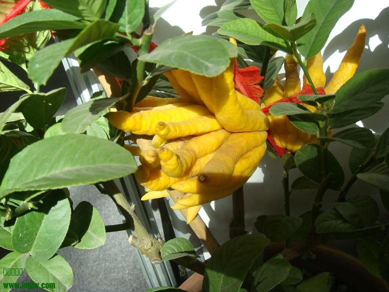 DSC06365.JPG