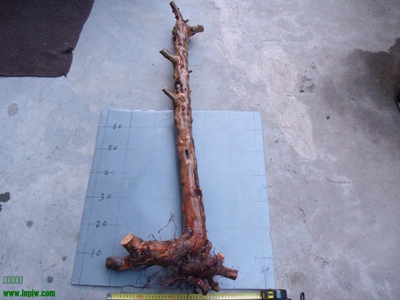 GEDC4287_.jpg