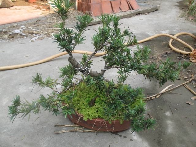 ȸ204.JPG