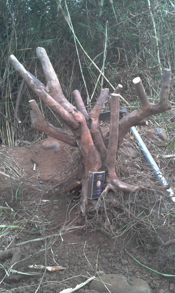 2013-12-09 16.17.35.jpg